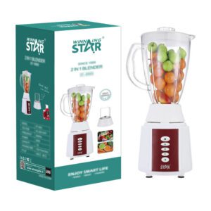 Blender 2 en 1 ST-5503