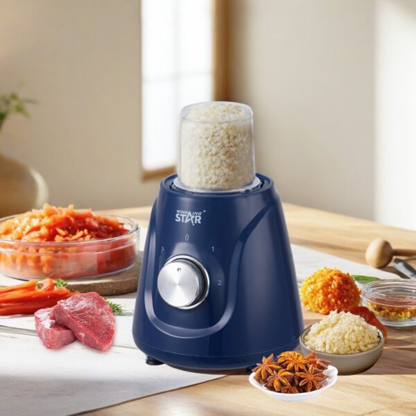 Blender 2 en 1 ST-5922