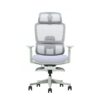 Chaise de Bureau T8F-GHL