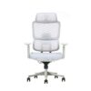 Chaise de Bureau T8-GH