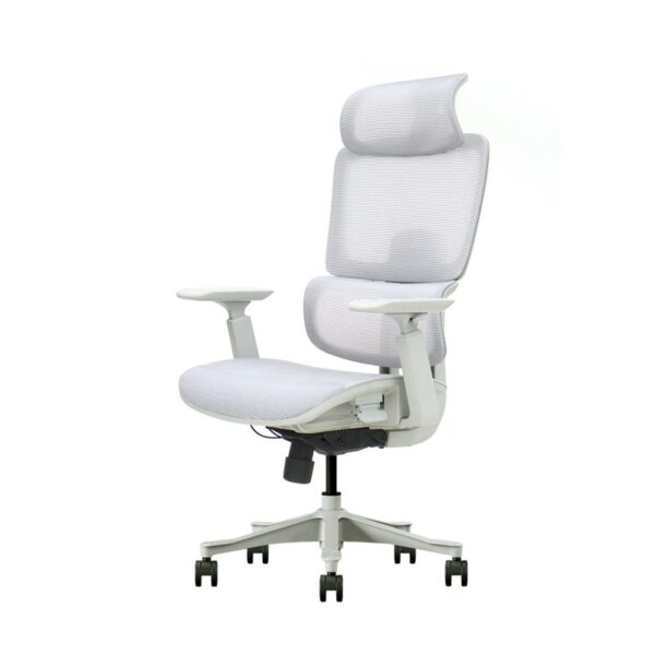 Chaise de Bureau T8-GH